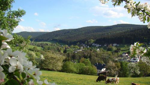 Ferienwohnung Lang - Foto 4