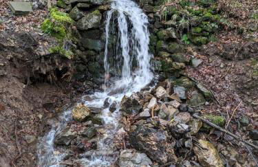 Haus Westharz Hahnenklee - Foto 20