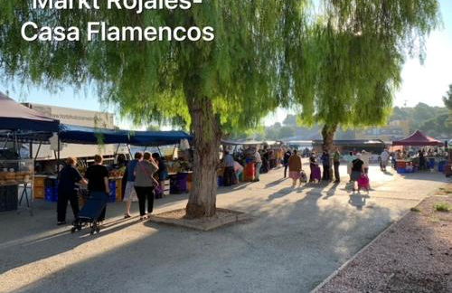 Casa Flamencos - Photo 34