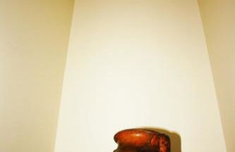 Casa do Notário - Foto 11