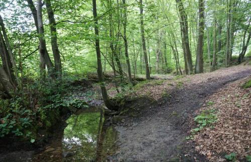 Villa Barwald - Foto 34