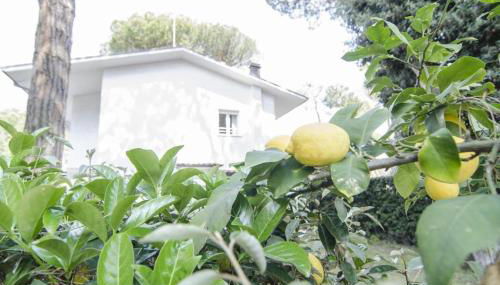 Appartamenti Federica 12T - Foto 4