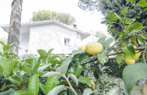 Appartamenti Federica 12T - Foto 4