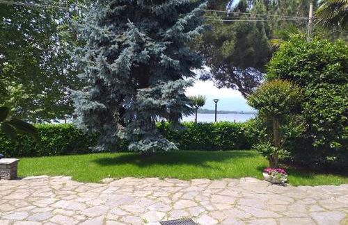 Alla Ghigliotta - Foto 13