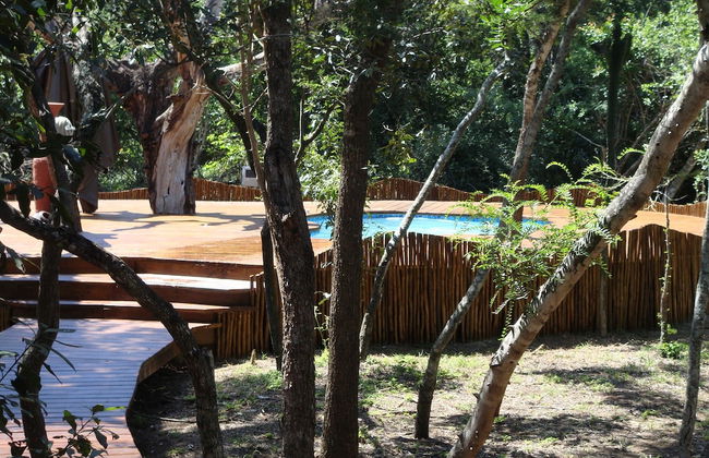 Amorello Safari Park - Photo 24