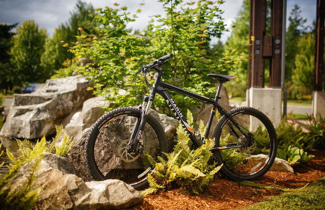 Sunrise Ridge Waterfront Resort - Photo 78