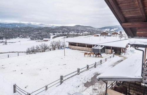 Ladinser Hof Sternenhimmel - Foto 12