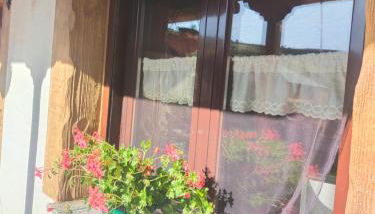 La casita de la señora María - Foto 5