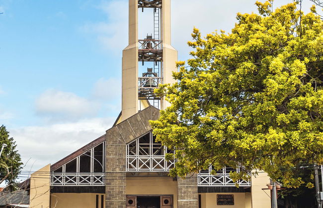Free tour di Ancud - Foto 1