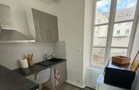 Appartement centre d'Orléans en bord de Loire - Foto 9