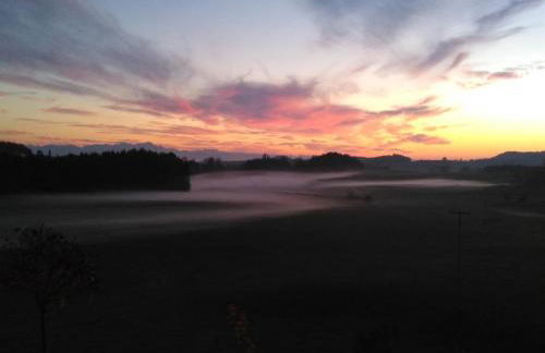 Gasthof Grüner Baum "Kongo" - Foto 15