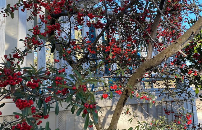 C&C Family Ranch - Foto 11