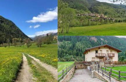 Olga s Chalet in Vione - Foto 47