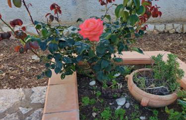 Villa Maricetta - Foto 44