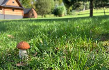 Chata Piechówka - gorąca balia i widok na góry - Foto 47