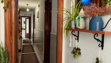 CASA PITA Completa Grupos - Foto 4, Lobby or reception