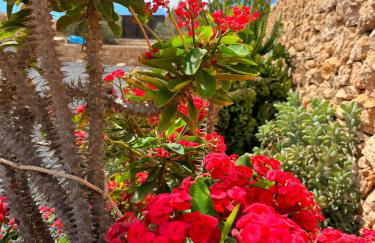 Casa Marisa with Heated Pool & Garden - Foto 31