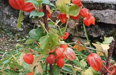 La Tour Des Quatre Chemins - Foto 22