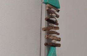 Bellavista Punta Ala - Foto 22