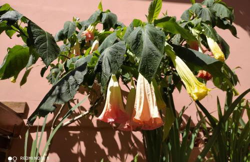 RECANTO RAVI - Foto 36