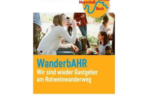 Holiday apartment in Dernau with parking - Foto 34