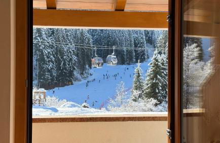 Appartamenti Rì de la Clama Andalo, Barbara - Foto 11