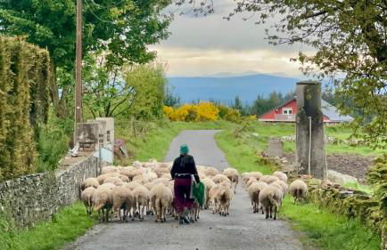 Casa da Forxa, renovated former forge/ smithy - Foto 31