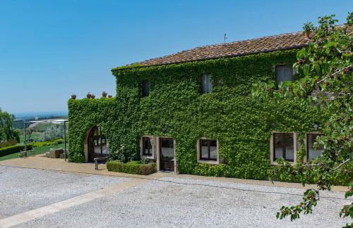 La Marrana - Castello del Terriccio - Foto 58