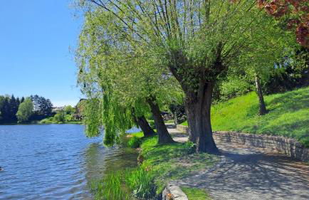 Apartment Hearzzeit - Foto 18