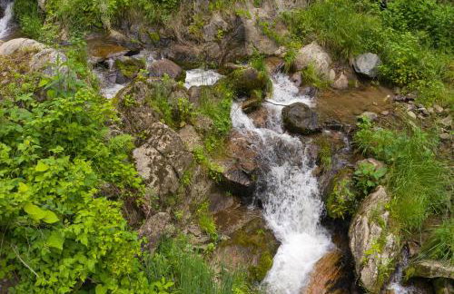 Windows Over Waterfalls - Foto 43