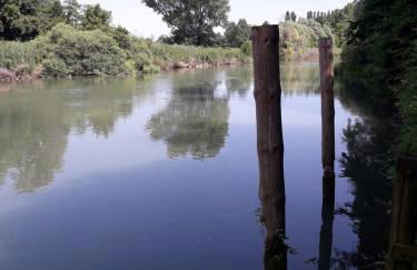 Tenuta Crescentini-ValleMura ,appartamenti con entrata indipendente - Foto 57