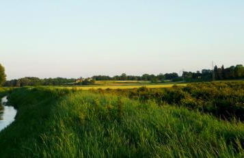 Agriturismo Podere dei kiwi - Foto 13