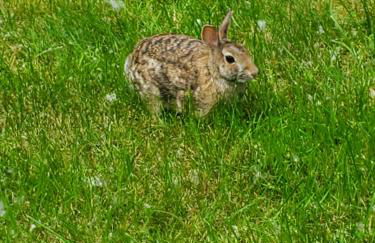 Tony's Riverside Oasis - Foto 42