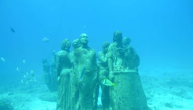 Glass Bottom Boat Tour - Foto 3