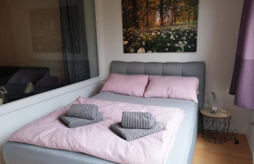City Apartment Bahnhofnah - Photo 4