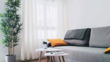 Los Patios de la Caleta - Photo 3