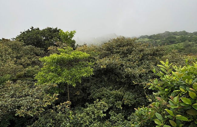 Rincón De Gaetano - Photo 42