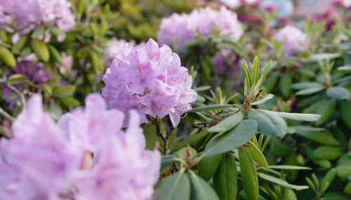 Ferien Am Weinberg - Foto 4