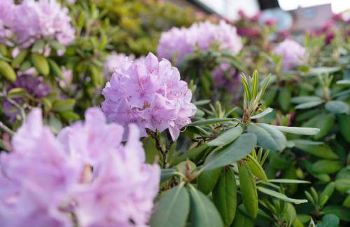 Ferien Am Weinberg - Foto 4