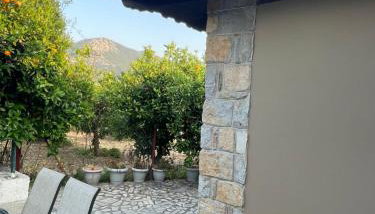 Citrus garden - Photo 5