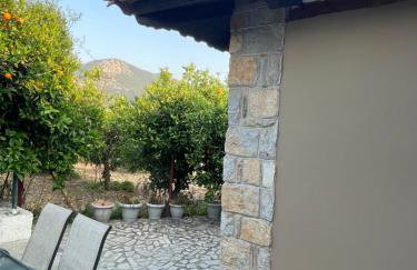 Citrus garden - Photo 5