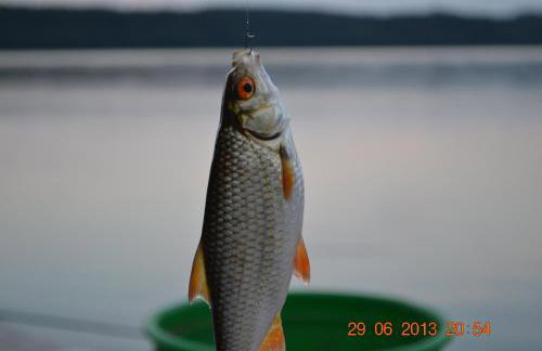 Willa Gowidlina - Foto 29