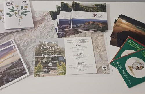 VINYES DEL PRIORAT - Foto 24