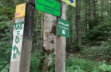 Garden apartment Winterberg WOODS - Foto 10