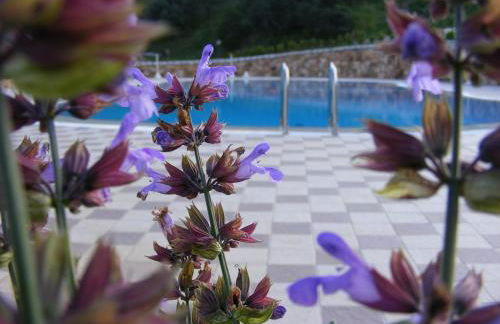 Tenuta Su Vrau - Foto 26