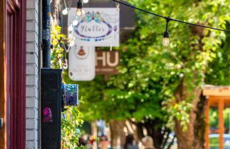 La Casa Blanca en Mississisppi - 95 WalkScore - Photo 54