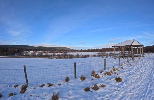 Orange Squirrel Lodge - Foto 29