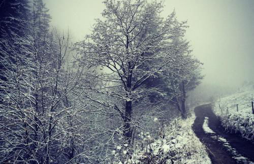 Chalet Serin - Foto 33