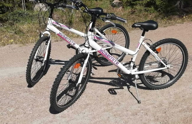 Saimaa Lakeside - Foto 30