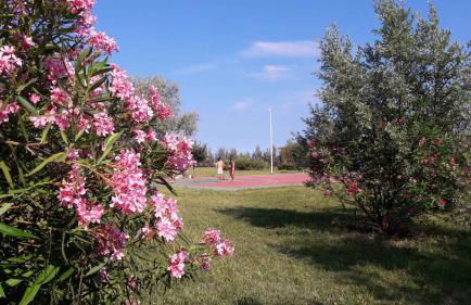 Holiday home in Eraclea Mare 25698 - Foto 26